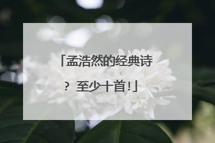 孟浩然的经典诗? 至少十首!
