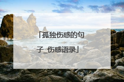 孤独伤感的句子_伤感语录