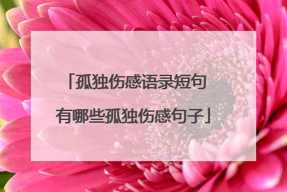 孤独伤感语录短句 有哪些孤独伤感句子
