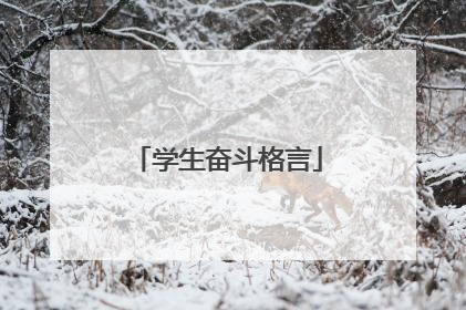 学生奋斗格言