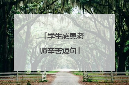 学生感恩老师辛苦短句