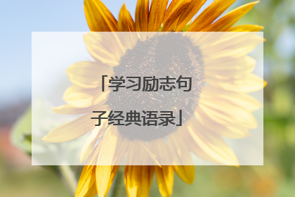 学习励志句子经典语录