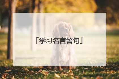 学习名言警句
