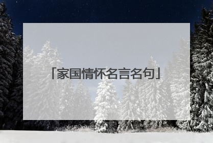 家国情怀名言名句