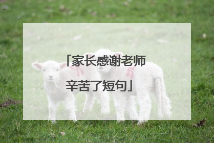 家长感谢老师辛苦了短句