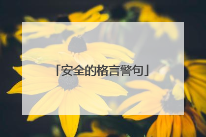 安全的格言警句