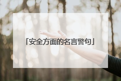 安全方面的名言警句