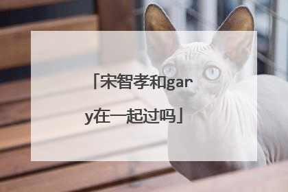 宋智孝和gary在一起过吗