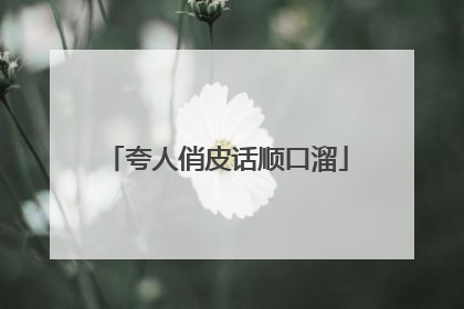夸人俏皮话顺口溜