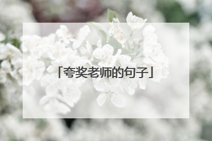 夸奖老师的句子