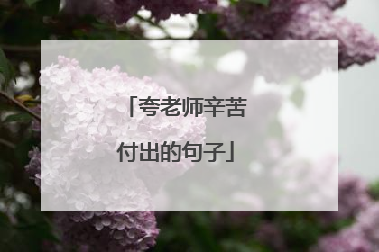 夸老师辛苦付出的句子