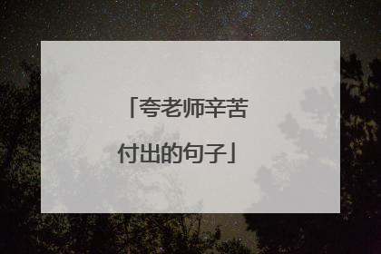 夸老师辛苦付出的句子