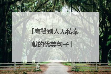 夸赞别人无私奉献的优美句子