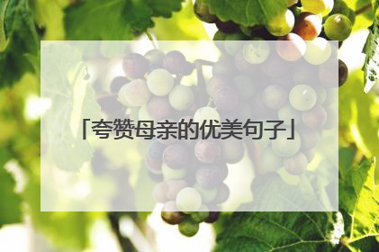 夸赞母亲的优美句子