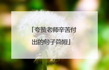 夸赞老师辛苦付出的句子简短