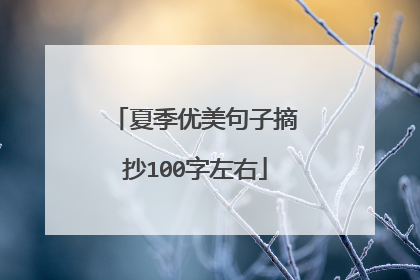 夏季优美句子摘抄100字左右