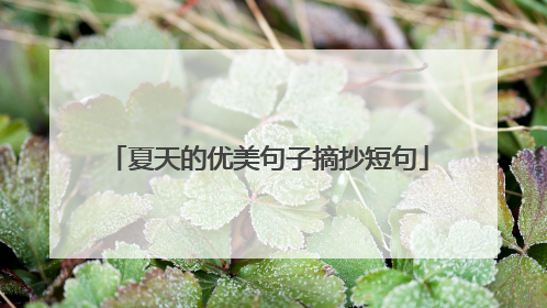 夏天的优美句子摘抄短句