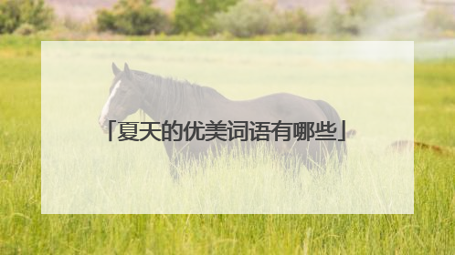 夏天的优美词语有哪些