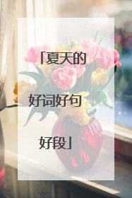 夏天的好词好句好段