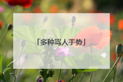 多种骂人手势
