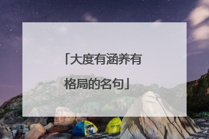 大度有涵养有格局的名句