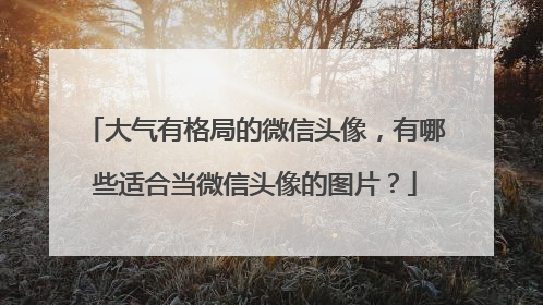 大气有格局的微信头像,有哪些适合当微信头像的图片?