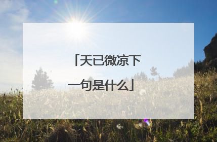 天已微凉下一句是什么
