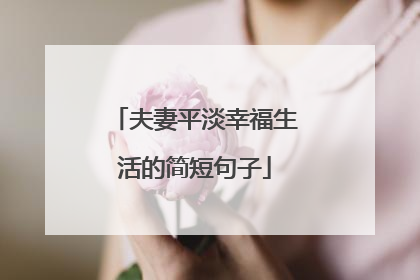 夫妻平淡幸福生活的简短句子