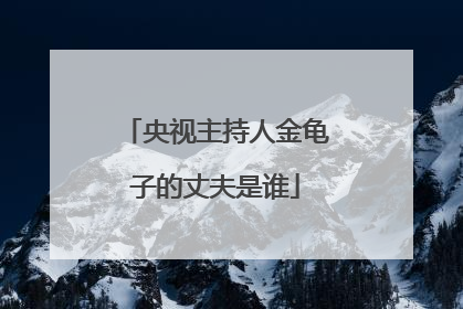 央视主持人金龟子的丈夫是谁