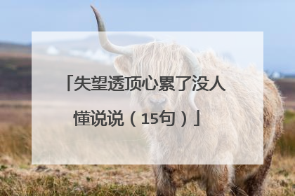 失望透顶心累了没人懂说说（15句）