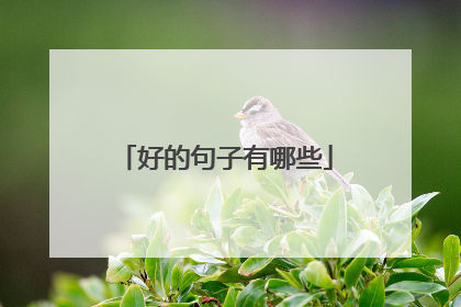 好的句子有哪些