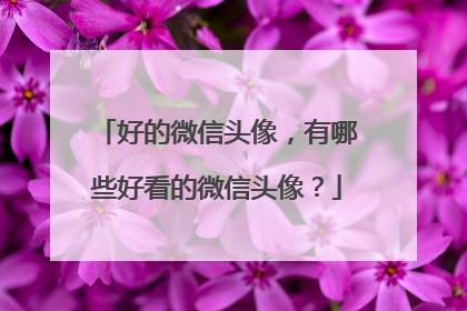 好的微信头像，有哪些好看的微信头像？