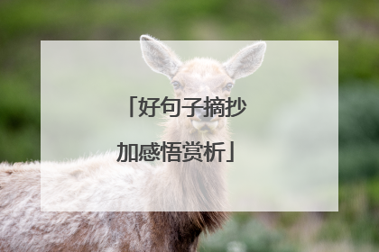好句子摘抄加感悟赏析