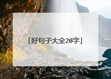 好句子大全20字