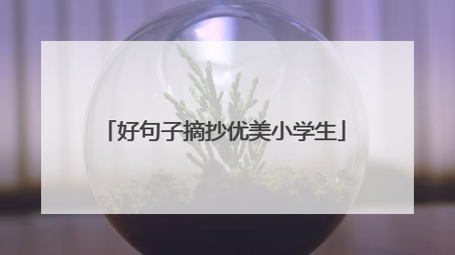 好句子摘抄优美小学生