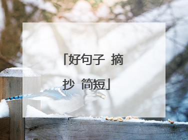 好句子 摘抄 简短