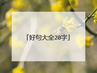 好句大全20字