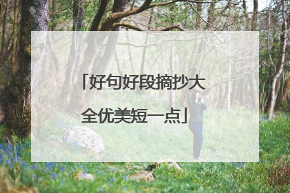 好句好段摘抄大全优美短一点