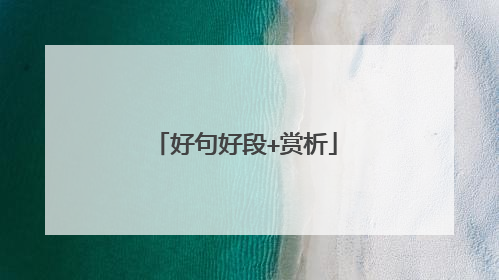 好句好段+赏析
