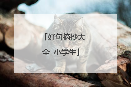 好句摘抄大全 小学生
