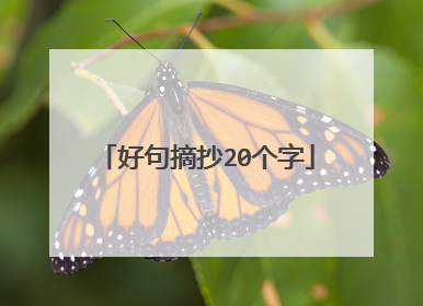 好句摘抄20个字