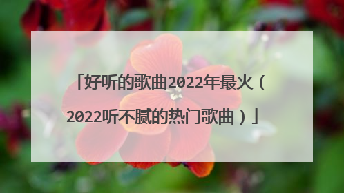 好听的歌曲2022年最火(2022听不腻的热门歌曲)