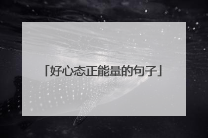 好心态正能量的句子