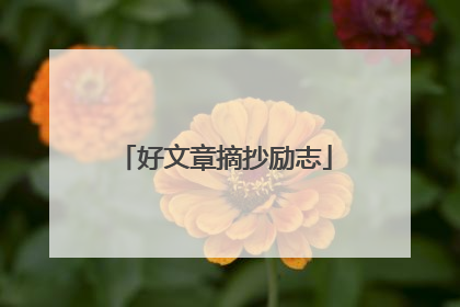 好文章摘抄励志