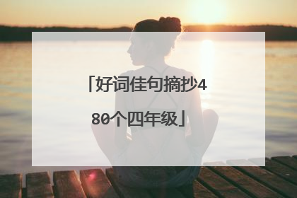 好词佳句摘抄480个四年级