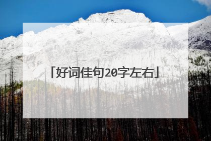 好词佳句20字左右