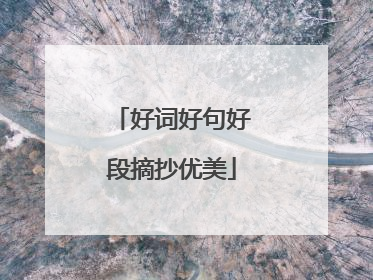 好词好句好段摘抄优美