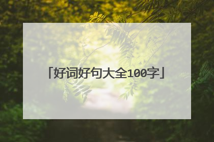 好词好句大全100字