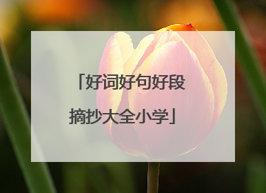 好词好句好段摘抄大全小学