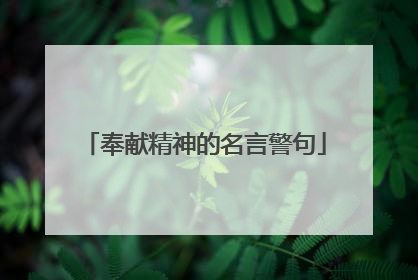 奉献精神的名言警句